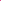 Fresh Hot Pink Rose Petals