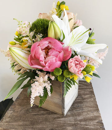 Lily Love