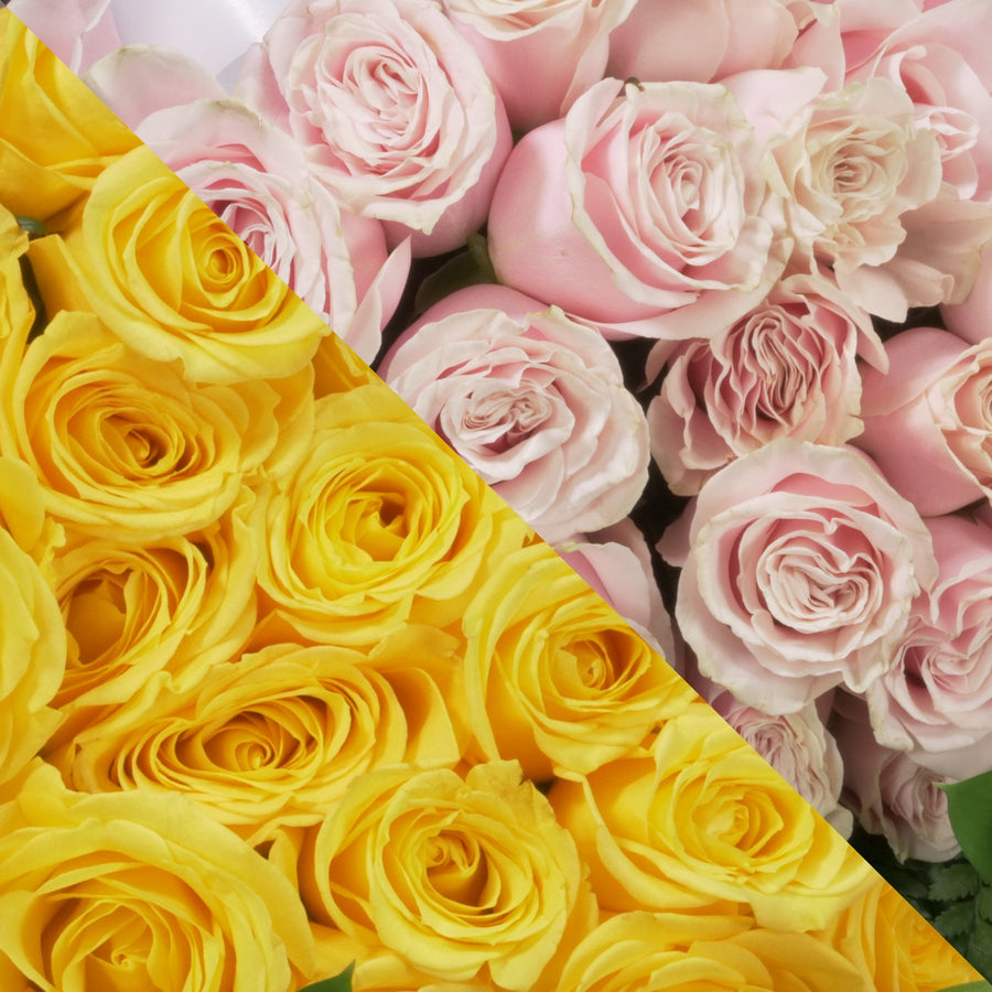 Yellow &  Blush Pink Roses