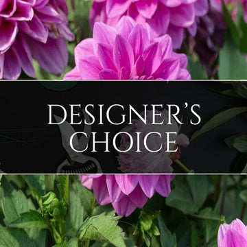Designer's Choice Blooming Plant
