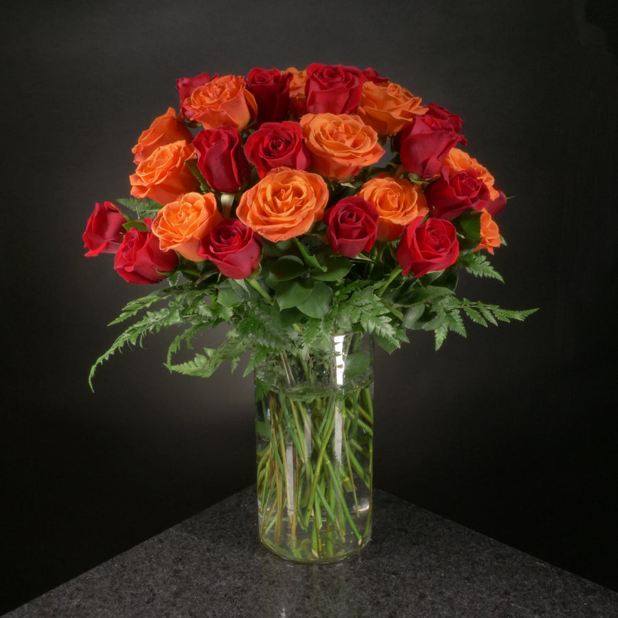  36 Roses / Vase / Basic