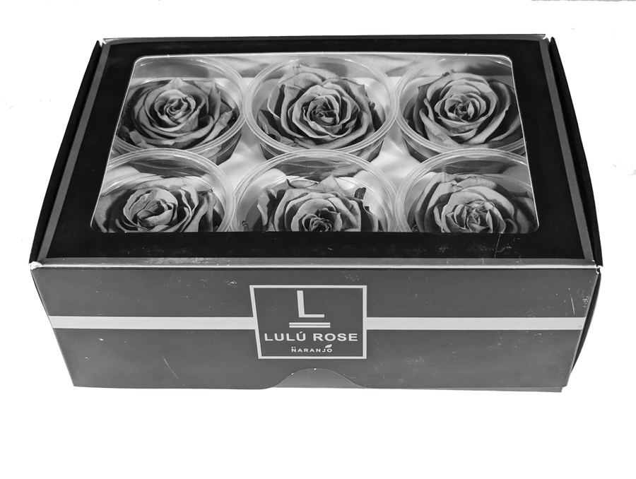 White Eternal Roses