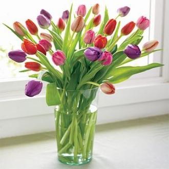30 Mixed Tulips